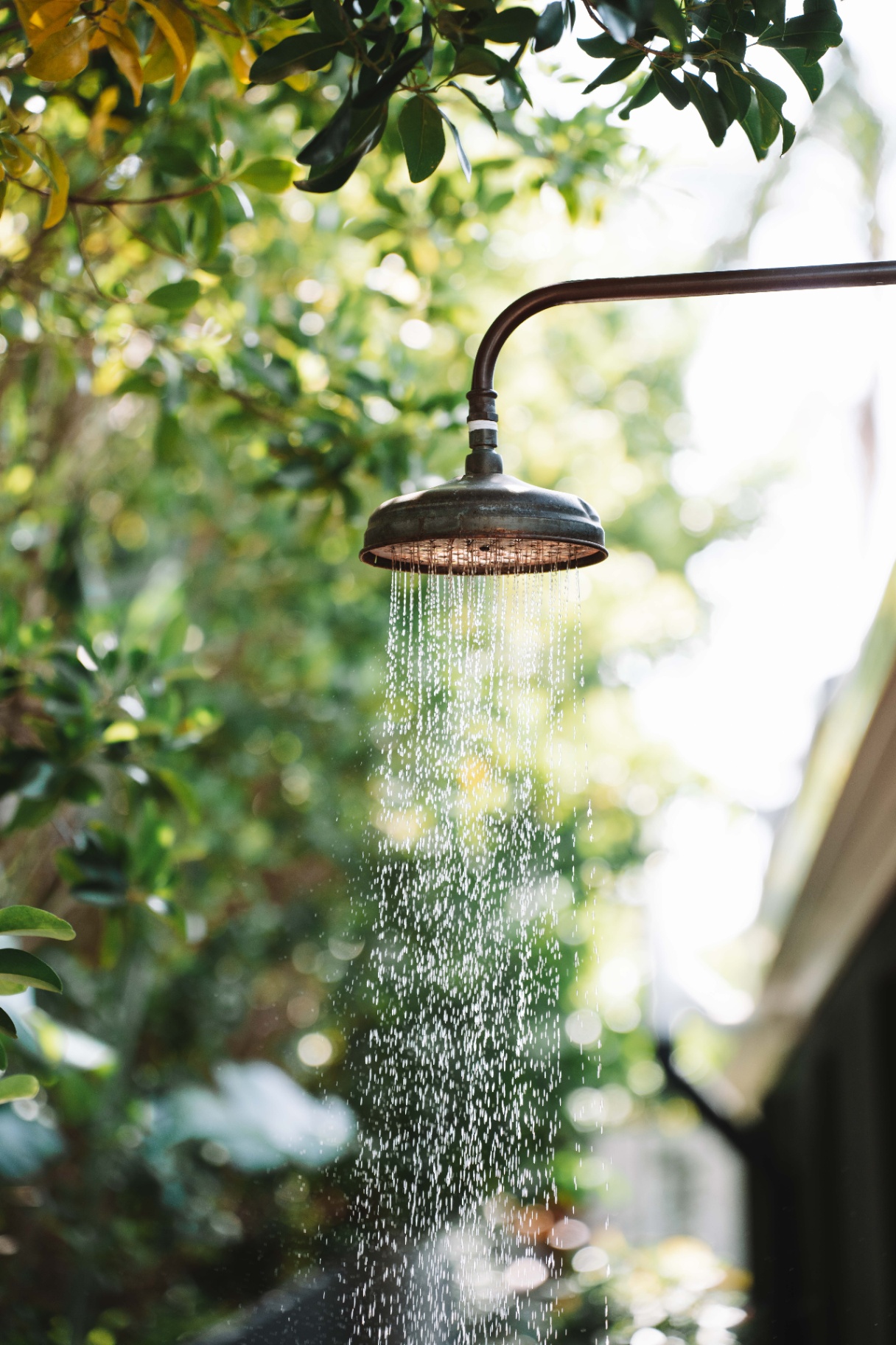 Outdoor shower at Hjemme Noosa surrounded by tropical greenery.